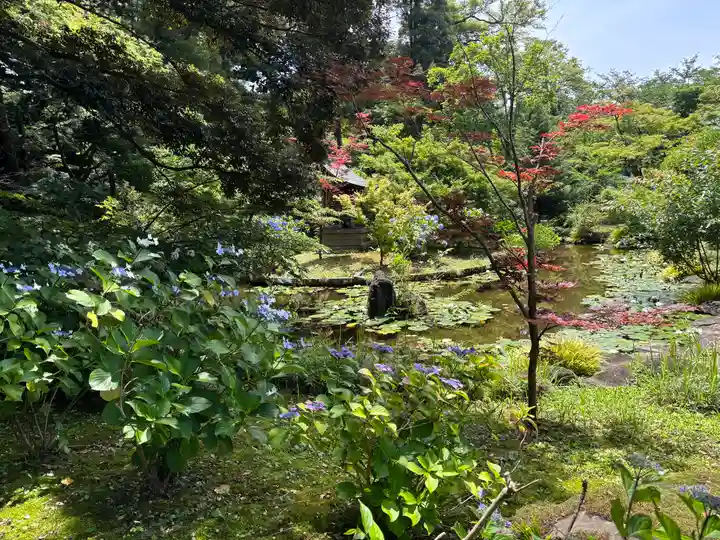 本土寺(千葉県)