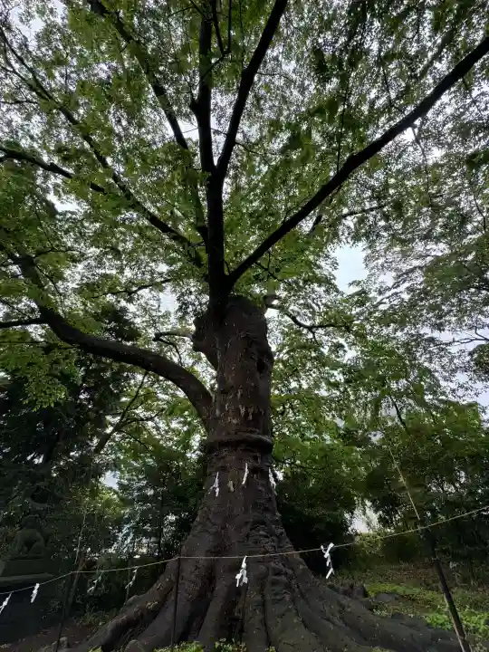 愛宕神社(福島県)