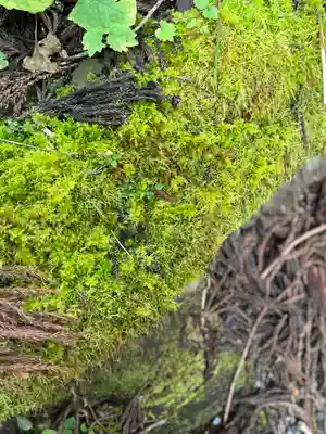 戸隠神社奥社(長野県)