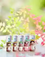 浄土寺のおみくじ