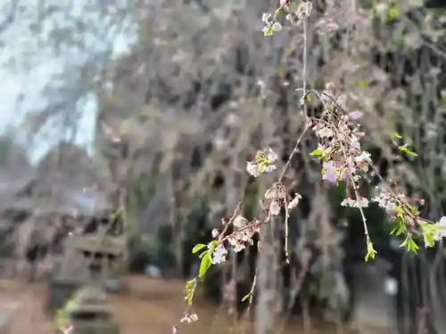 伏木香取神社(茨城県)