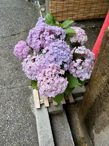 徳島眉山天神社(徳島県)