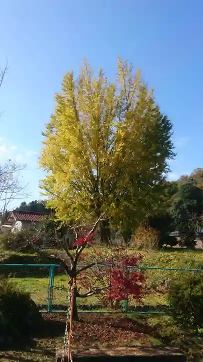 須我神社(島根県)
