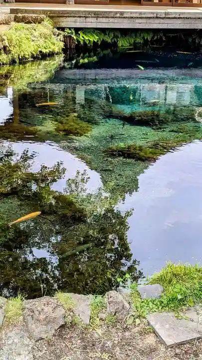新倉富士浅間神社の周辺