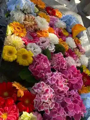 新川皇大神社の手水舎