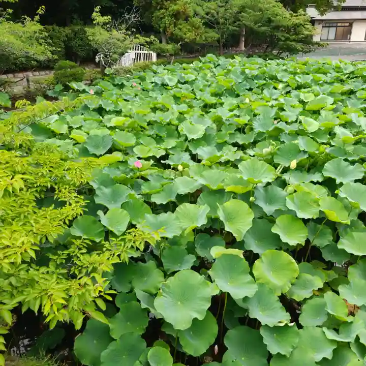 旗上弁財天社(神奈川県)