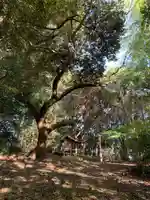 姥山神社(千葉県)