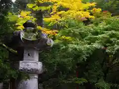 輪王寺の自然