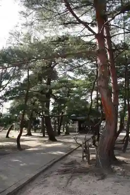 松原神社のその他建物