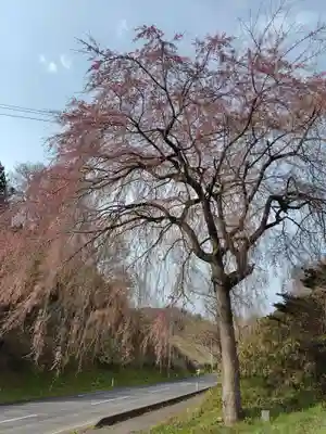 厳島神社(福島県)