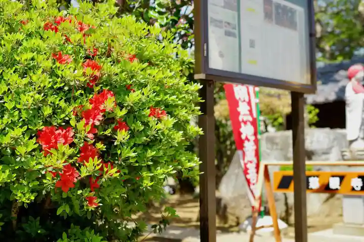 福王山 慈眼寺の自然