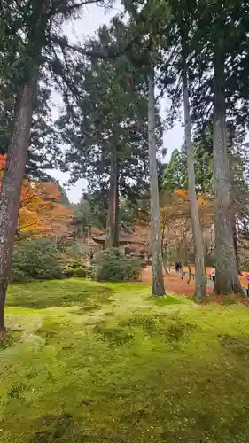 三千院門跡(京都府)