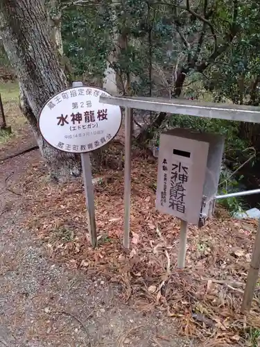 水神社(宮城県)