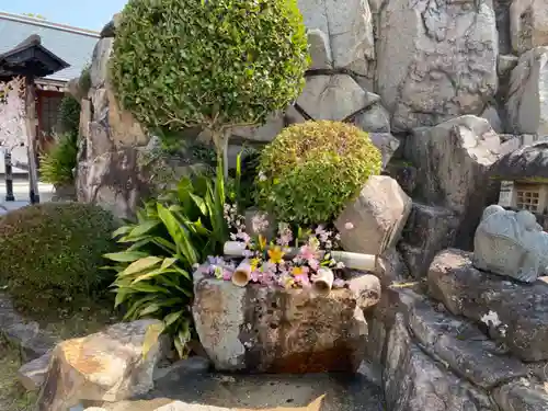 早稲田神社の手水舎