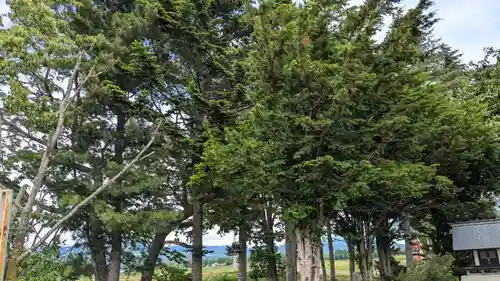 平和神社の自然