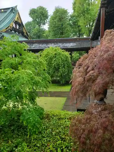 妙法寺(東京都)