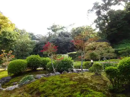 長壽寺（長寿寺）の庭園