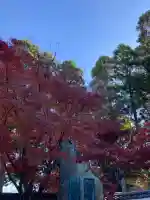 酬恩庵一休寺(京都府)