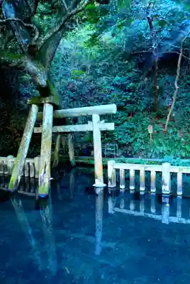 鹿島神宮(茨城県)