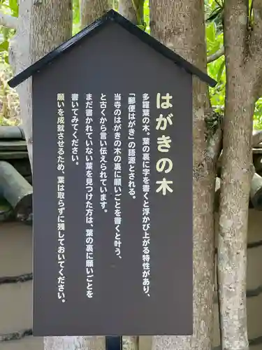 法起院(奈良県)