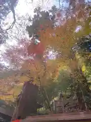 貴船神社の自然