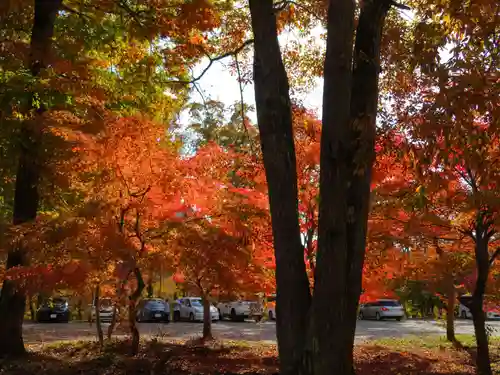 塔のへつり(福島県)
