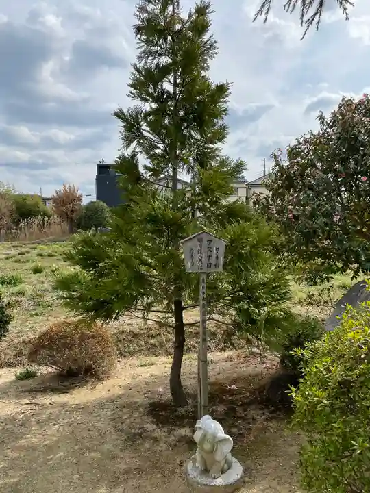 龍雲寺(大阪府)