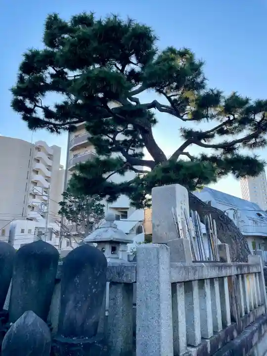 海晏寺(東京都)