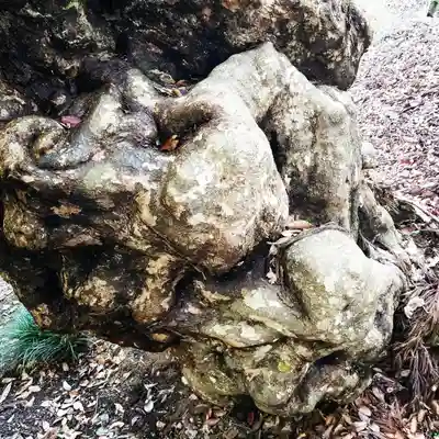 大生神社の自然