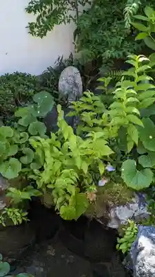 東林院(京都府)