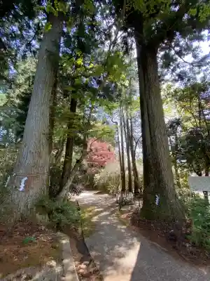 西照神社(徳島県)