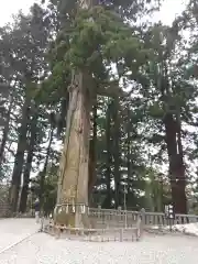 戸隠神社中社の建物その他