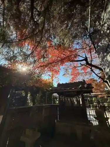 雪塚稲荷神社(埼玉県)