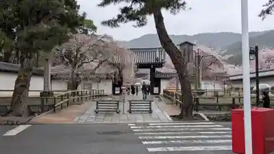 醍醐寺(京都府)