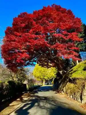 栄存神社(宮城県)