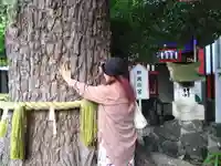鴻神社(埼玉県)