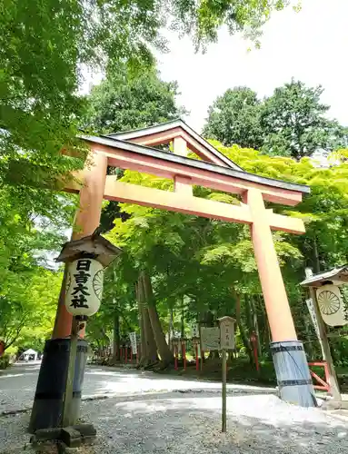 日吉大社の鳥居