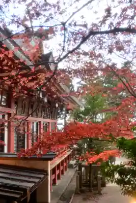 大山阿夫利神社(神奈川県)