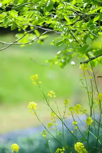浄土寺(兵庫県)