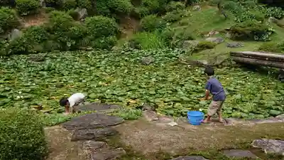 興禅寺(鳥取県)