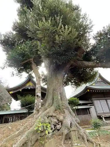 埴生神社(千葉県)