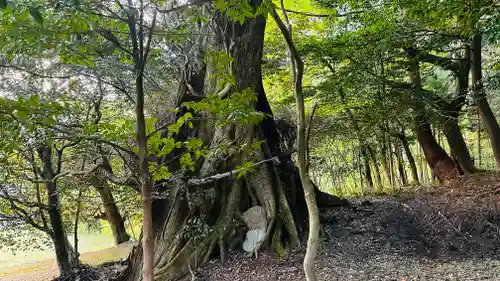 闇見神社(福井県)