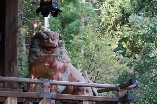 赤山禅院の狛犬