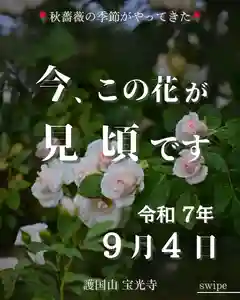 宝光寺(北海道)(2025年09月04日(木) 09時37分58秒投稿)