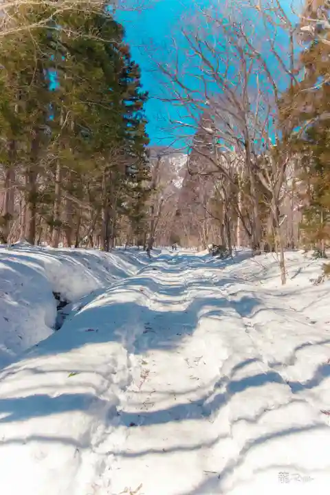 戸隠神社奥社(長野県)