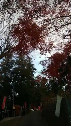 福泉寺のその他建物