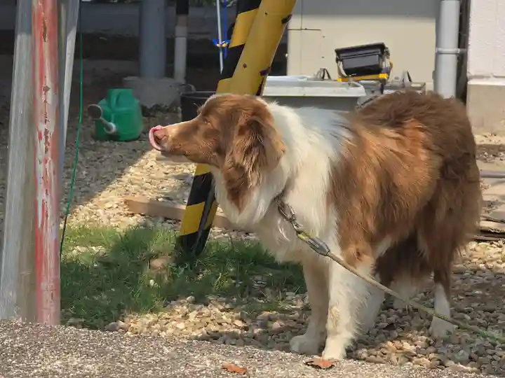 法華寺(兵庫県)