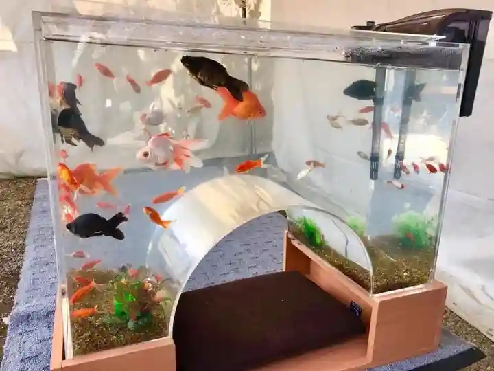 柳澤神社(奈良県)