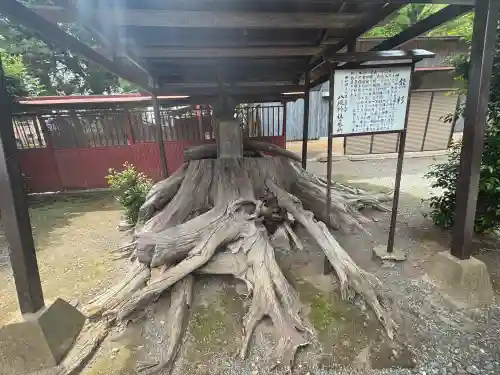 八坂神社(群馬県)