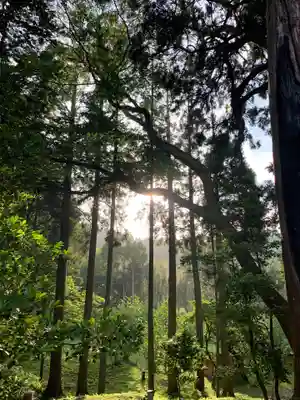 日月神社の自然